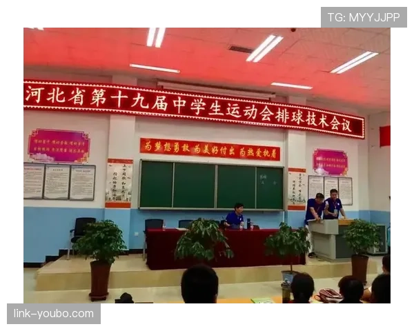 比赛用球的规格标准与裁判检查规则详解